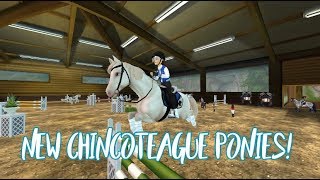 Updated Chincoteague Ponies  SSO Update [upl. by Eeresid]