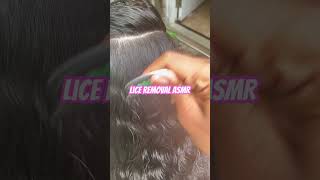 Lice Removal ASMR l small business explore hair nomorelice [upl. by Mano]