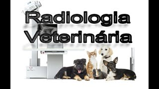 Radiologia veterinária [upl. by Lada]