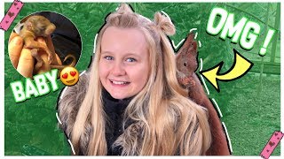 FMA 🐿️ Mein Tag bei der Eichhörnchen Familie  MaVie Noelle Vlog [upl. by Doralynn]