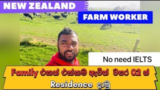 Working in New Zealand Dairy Farm ගොවිපල රැකියාවකට සුදුසුකම් මොනවාද Farmworkernewzealand [upl. by Anahsahs]