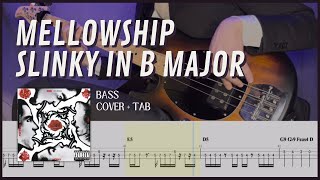 Mellowship Slinky in B Major  Red Hot Chili Peppers Bass Cover with Tab [upl. by Horten699]