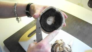 Cleaning Portobello Mushroom [upl. by Jotham]