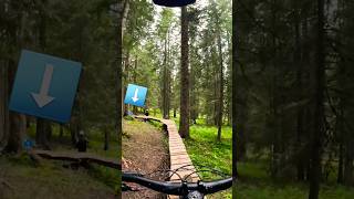 This is a Blue Morzine trails grade different mtb morzine [upl. by Ahsekim]