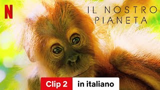 Il nostro pianeta Stagione 1 Clip 2  Trailer in italiano  Netflix [upl. by Yrffej500]