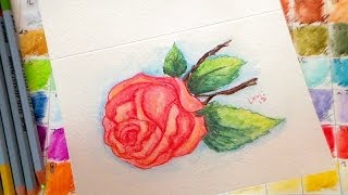 vintage rose watercolor pencil tutorial [upl. by Novets858]