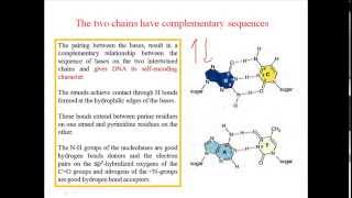 Helical structure of DNA [upl. by Eilyw]