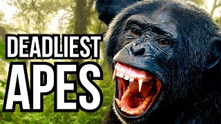 Ranking All 8 Great Apes From Least Deadly To Deadliest [upl. by Gere]