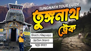 Tungnath Trek  Tungnath Tour Guide  Tungnath Yatra  তুঙ্গনাথ চন্দ্রশীলা ট্রেক 6000 টাকায়  EP 8 [upl. by Bumgardner]