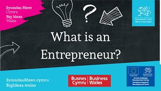 What is an entrepreneur [upl. by Annocahs]