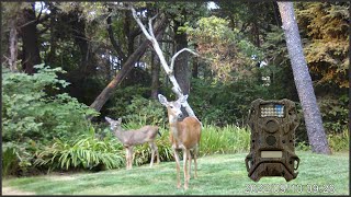 Setting Up A Terra Extreme Trail Camera [upl. by Kaitlyn303]