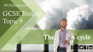 The Carbon Cycle  GCSE Biology 91  913 [upl. by Sonstrom]