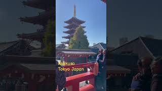 Travelers！ Welcome to Japan  Asakusa Taito City Tokyo Japan [upl. by Vedi]