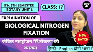 Biological Nitrogen FixationNitrogen CycleNitrogen Metabolism in PlantsBSc 5th Semester Unit 3 [upl. by Teiv]