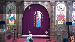 St Mary Coptic Orthodox Church in DFW  Live Streaming [upl. by Aihseym199]