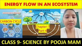 Carbon cycle  process of food preparation  Energy flow in an ecosystem part4  Class 9 [upl. by Vez]