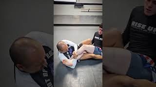 BJJ FLOWS bjj shortsfeed jiujitsu fyp martialarts [upl. by Horan]