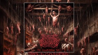 Guttural Disgorge  The Slamputation Tapes EP 2024 [upl. by Eineg]