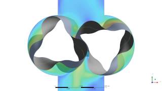 CFX BerlinVideo CFDSimulation Drehkolbenpumpe Lobe Pump mit TwinMesh und ANSYS CFX [upl. by Eon208]