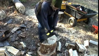 Dead pine tree cutting and chopping for fire wood  Using the Stihl 025 chain saw amp axe  Episode 2 [upl. by Clapper]