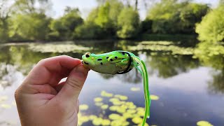 Topwater PIKE Fishing with FROGS Crazy Moments amp Blowups [upl. by Eilitan]