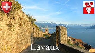 Driving Switzerland 🇨🇭  Come along for harvest season in Lavaux 4K Scenic Drive [upl. by Tommy865]