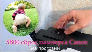 Canon ошибка 5B00 сброс памперса без программ [upl. by Annayhs]