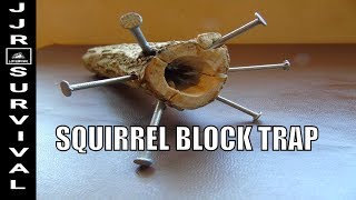 How To Make A Squirrel Block Trap [upl. by Anastos297]