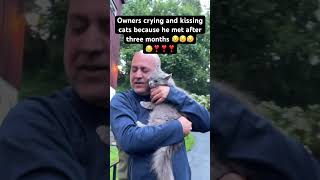 Sad day crying 😢 moments shortvideo catlover catvideos [upl. by Marnie149]