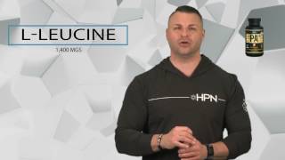 HPN Nutrition PA 7 Phosphatidic Acid Product Overview [upl. by Chapnick]