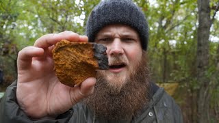 Chaga Tea How To Use This Powerful Mushroom [upl. by Airitac]