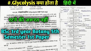 Glycolysis क्या है  EMP Pathway  Plant Physiology  BSc 3rd year Botany 5th semester 1st paper [upl. by Auqined]