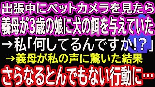 【スカッと総集編】出張中にペットカメラを見たら義母が3歳の娘に犬の餌を与えていた→私「何してるんですか」→義母が私の声に驚いた結果、さらなるとんでもない行動に… [upl. by Conte762]