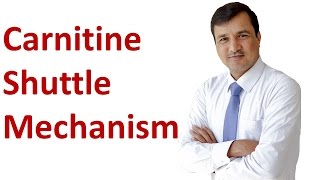 Carnitine Shuttle Mechanism [upl. by Adabel]