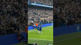 Cole Palmer goal Chelsea vs Newcastle football 2  1 wild celebrations shorts short [upl. by Birmingham]