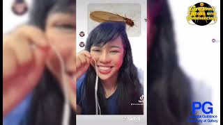 TIKTOK TIME Zendee Reacts Song Memes by zendeeofficial [upl. by Ccasi]