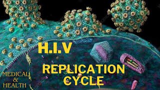 HIV Replication 3D Medical Animation  medical and health [upl. by Gelasius140]