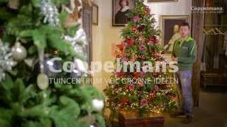 Coppelmans kerstboom decoreren [upl. by Wehtta472]