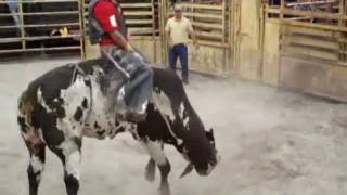 Nalva Aguiar  Cowboy De Rodeio  GeroZum [upl. by Raul]