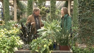 House Plant Tips From Longwood Gardens [upl. by Fahey962]