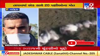 Vadodara 20 birds found dead in a lake at Dabhasa village of Padra  TV9News [upl. by Illom]