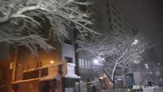 Tokyo Snow 20140208 [upl. by Tsui]