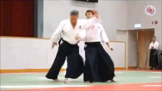 AIKIDO Philip LEE Aikido ShinjuKai  45th HongKong Anniversary 2016 [upl. by Berkeley]