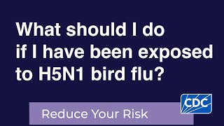 What should I do if I have been exposed to H5N1 bird flu [upl. by Fayina716]