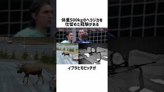 この動画は絶対に見てほしい [upl. by Whitson]