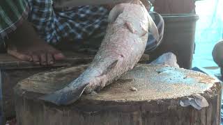 GIANT CATLA FISH CUTTING BY EXPERT FISH CUTTER  BANGLADESH FISH [upl. by Galloway]