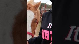 Full video just droppedI became a cowgirl for a day [upl. by Blandina]