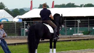 Dressage at Hickstead 2011 [upl. by Dareece]