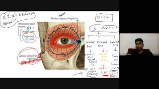 Head amp Neck Spotters  part  4  Dr Dhinesh Kumar  AIIMS medical mbbs mbbs1styear anatomy [upl. by Laris425]