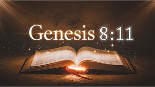 Online Bible Study in English  Learn Bible Verse Genesis 811 thebiblelearnwords TheBible707 [upl. by Wearing645]